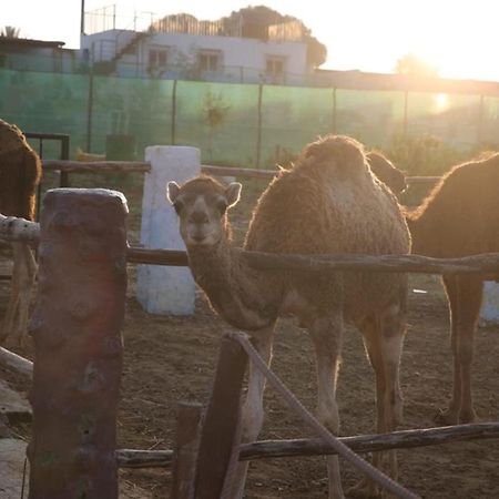 Tétouan La Granja 게스트하우스 외부 사진