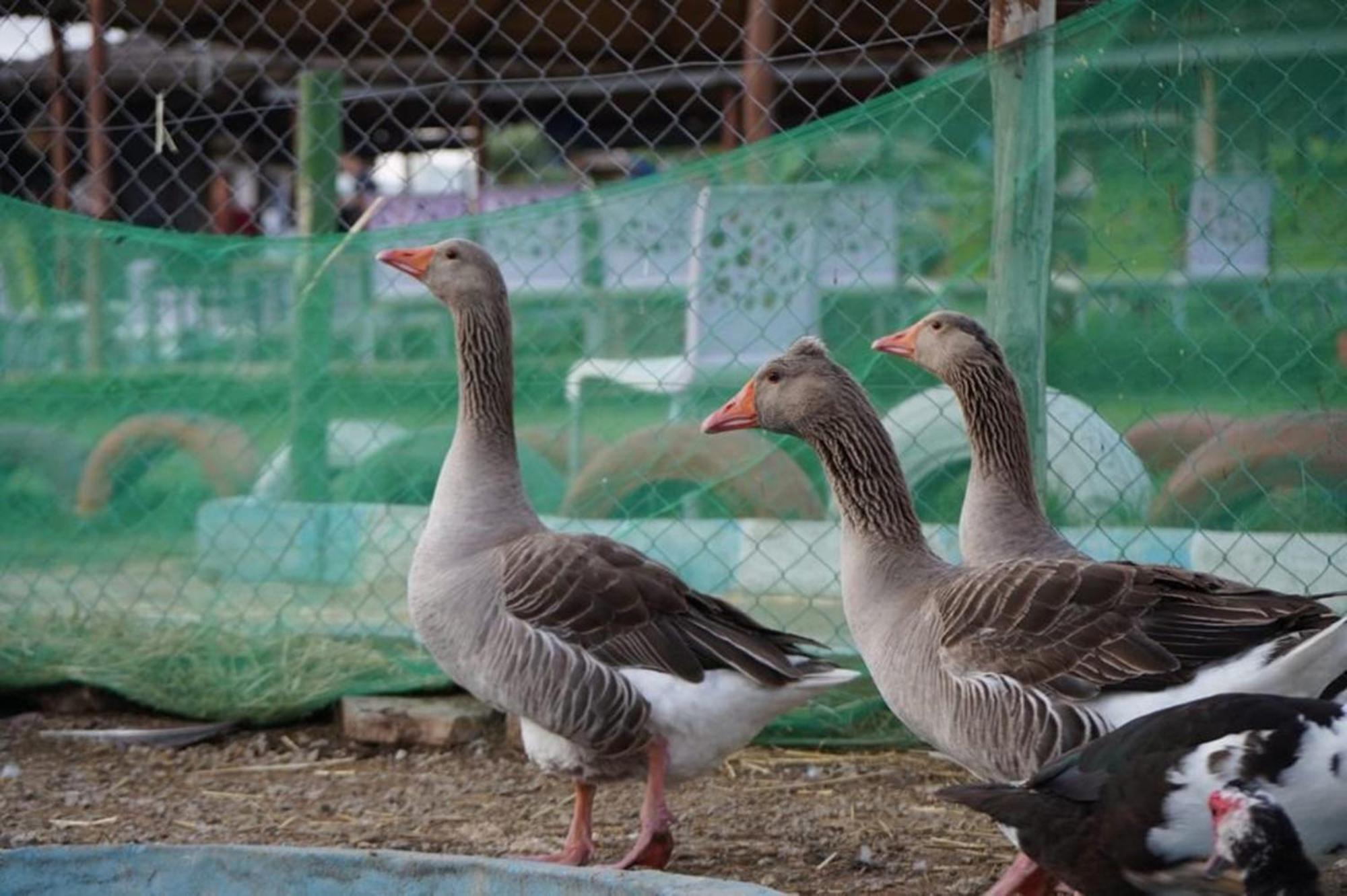 Tétouan La Granja 게스트하우스 외부 사진