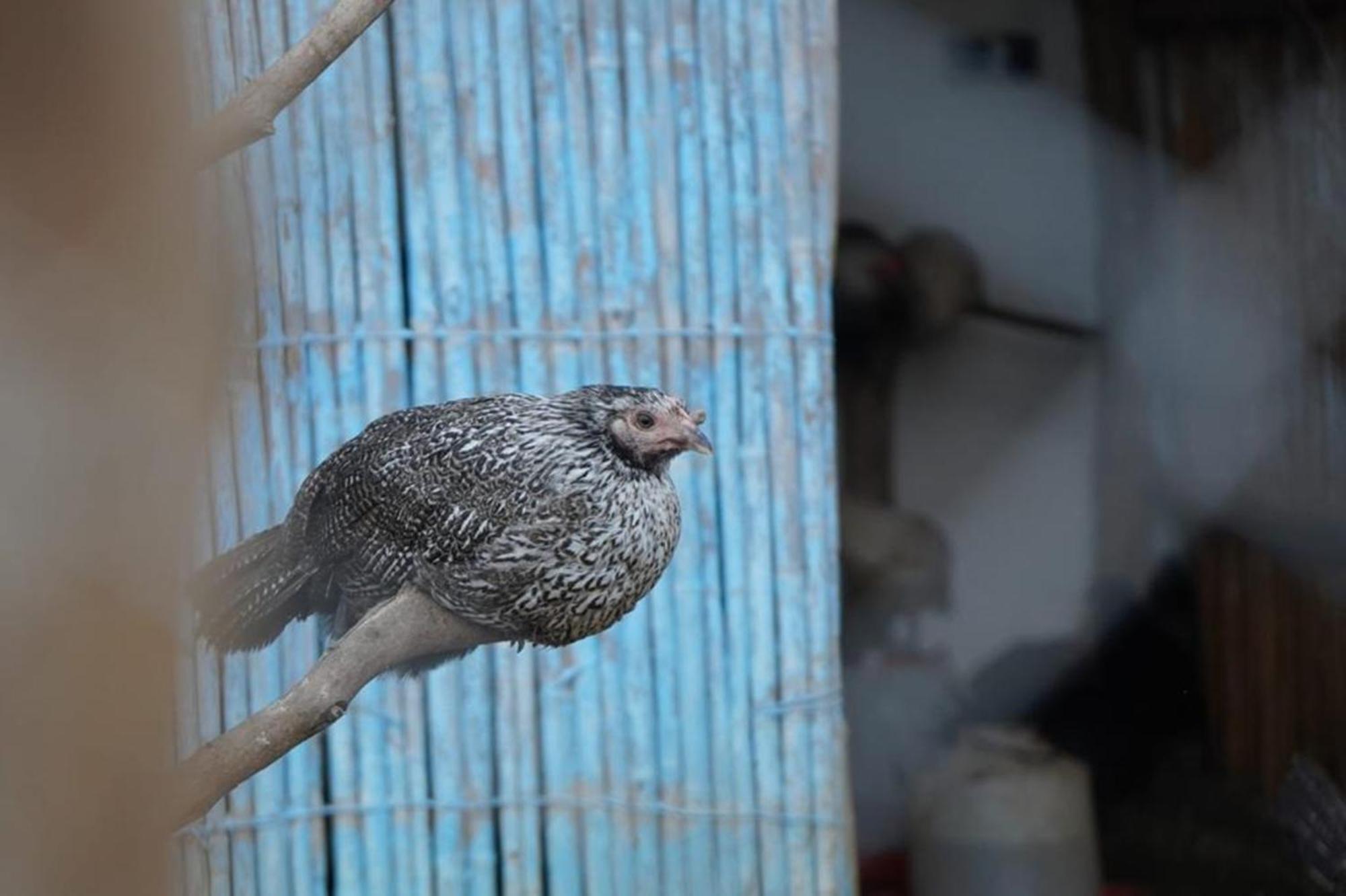 Tétouan La Granja 게스트하우스 외부 사진