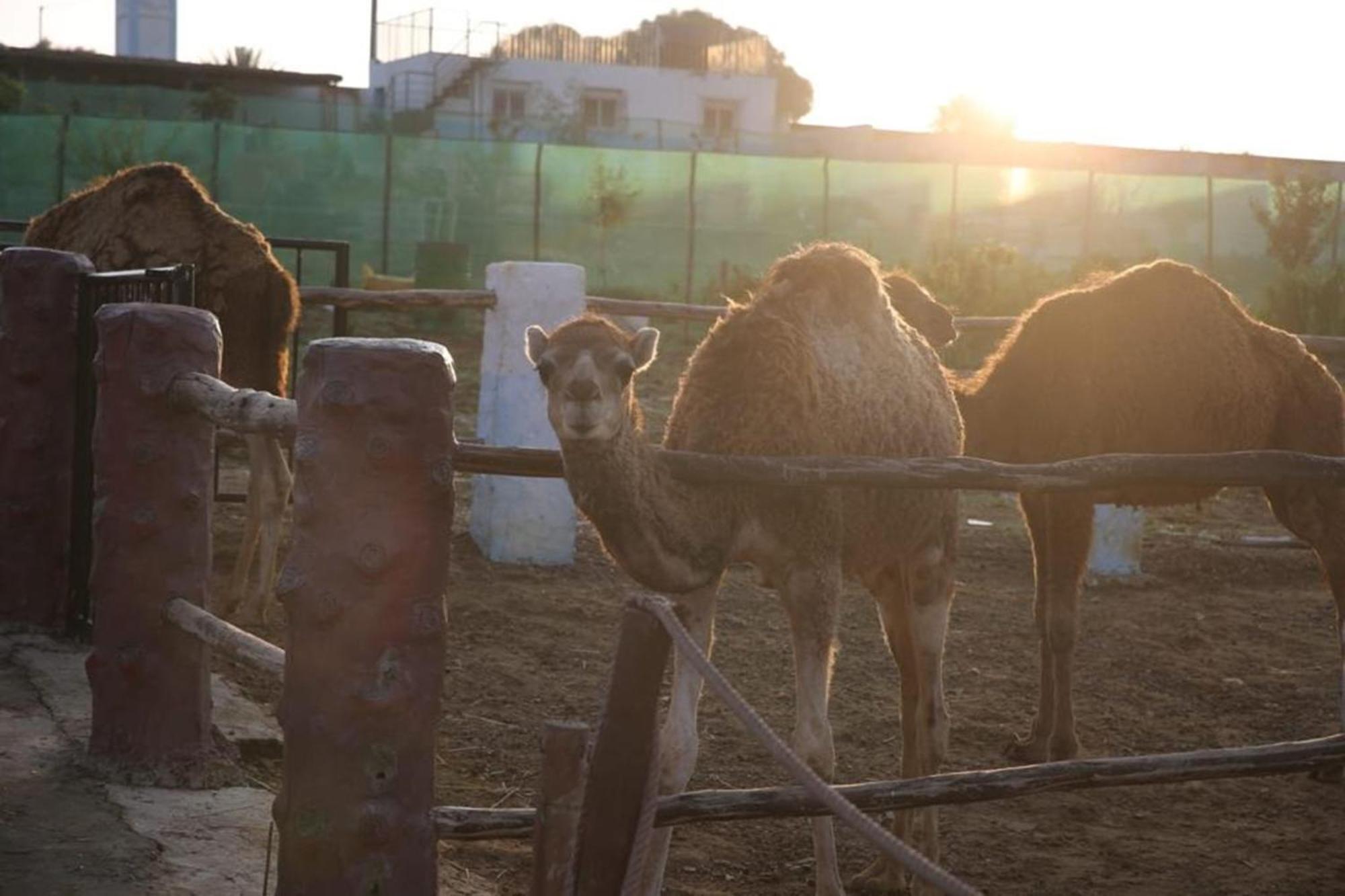 Tétouan La Granja 게스트하우스 외부 사진