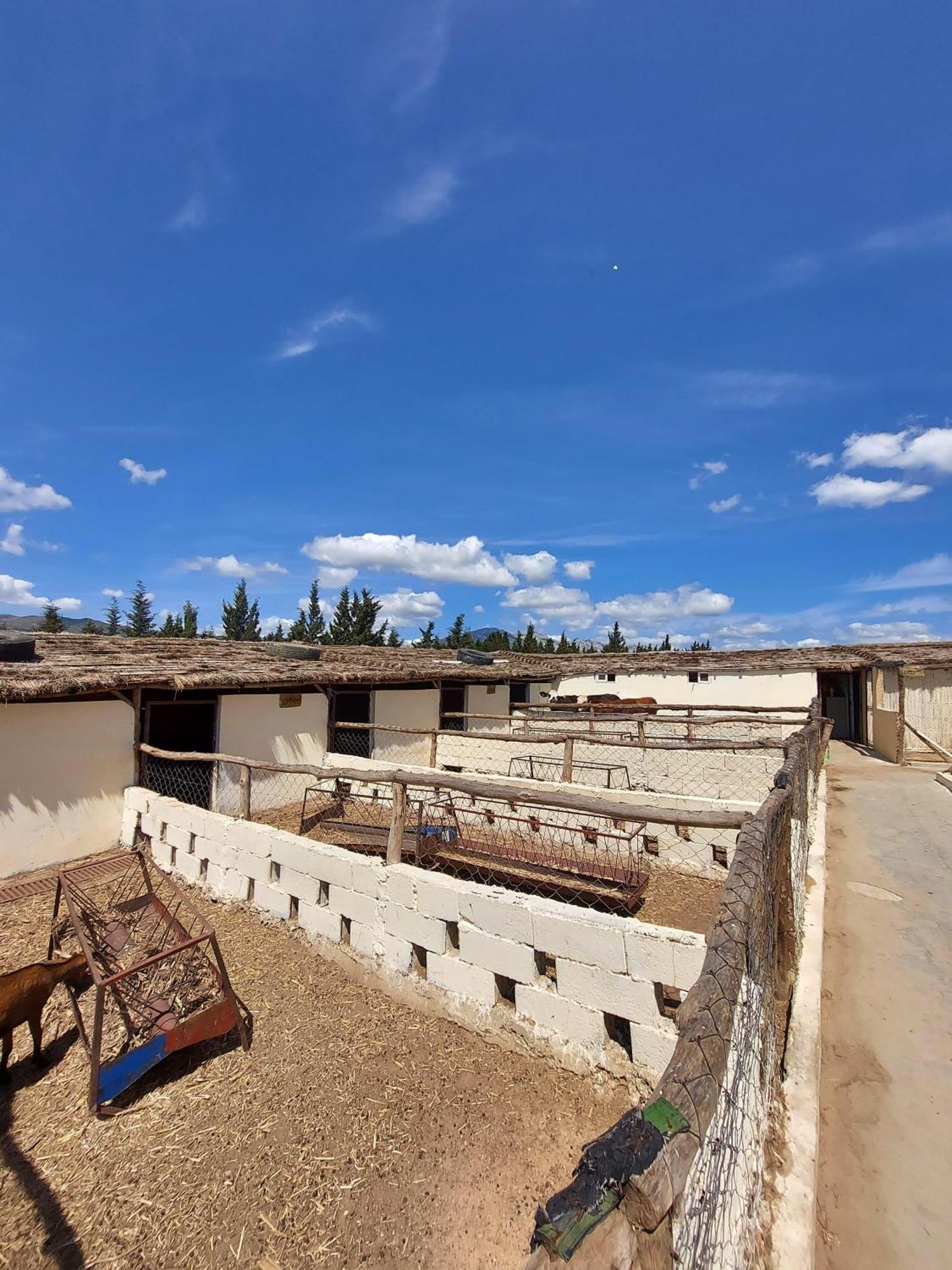 Tétouan La Granja 게스트하우스 외부 사진
